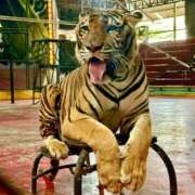 ヒメ日記 2026/03/09 12:34 投稿 月奈（つきな） フュージョンスパ