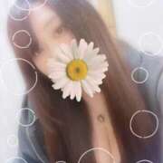 ヒメ日記 2025/12/20 14:57 投稿 ありす ぽちゃカワ女子専門店宇都宮店