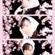 ヒメ日記 2026/04/20 19:18 投稿 いろは 東京妻