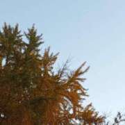 ヒメ日記 2024/12/06 07:35 投稿 けいな 横浜おかあさん