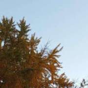 ヒメ日記 2024/12/06 07:41 投稿 けいな 横浜おかあさん