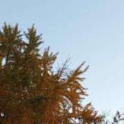 ヒメ日記 2024/12/06 08:05 投稿 けいな 横浜おかあさん