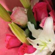 ヒメ日記 2025/01/08 06:25 投稿 けいな 横浜おかあさん