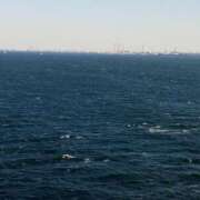 ヒメ日記 2025/01/09 11:05 投稿 けいな 横浜おかあさん