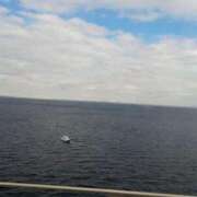 ヒメ日記 2025/01/16 11:25 投稿 けいな 横浜おかあさん