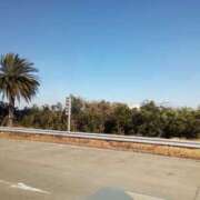 ヒメ日記 2025/01/29 11:03 投稿 けいな 横浜おかあさん