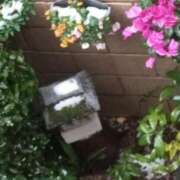 ヒメ日記 2025/03/05 07:05 投稿 けいな 横浜おかあさん