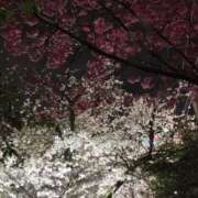 ヒメ日記 2025/04/02 22:55 投稿 けいな 横浜おかあさん