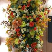 ヒメ日記 2025/04/18 19:35 投稿 けいな 横浜おかあさん