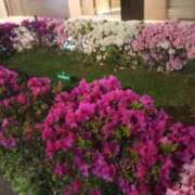 ヒメ日記 2025/04/30 00:35 投稿 けいな 横浜おかあさん