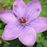 ヒメ日記 2025/05/08 09:35 投稿 けいな 横浜おかあさん