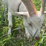 ヒメ日記 2025/10/22 11:51 投稿 あや 恋する人妻