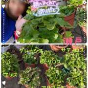 ヒメ日記 2025/03/02 10:17 投稿 瀬戸 竹内マッサージ