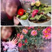 ヒメ日記 2025/03/28 10:45 投稿 瀬戸 竹内マッサージ