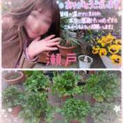 ヒメ日記 2025/03/29 13:47 投稿 瀬戸 竹内マッサージ