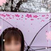 ヒメ日記 2025/04/02 14:20 投稿 瀬戸 竹内マッサージ