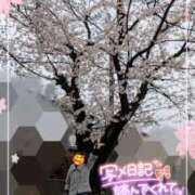 ヒメ日記 2025/04/03 17:08 投稿 瀬戸 竹内マッサージ