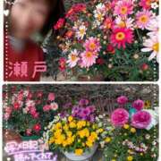 ヒメ日記 2025/04/09 08:02 投稿 瀬戸 竹内マッサージ