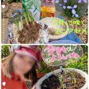 ヒメ日記 2025/04/09 13:54 投稿 瀬戸 竹内マッサージ