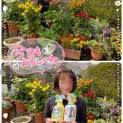 ヒメ日記 2025/04/11 11:31 投稿 瀬戸 竹内マッサージ