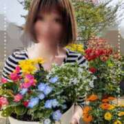 ヒメ日記 2025/04/18 14:46 投稿 瀬戸 竹内マッサージ