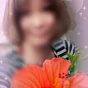 ヒメ日記 2025/04/20 06:45 投稿 瀬戸 竹内マッサージ