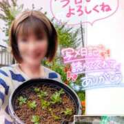 ヒメ日記 2025/04/25 12:15 投稿 瀬戸 竹内マッサージ