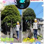 ヒメ日記 2025/04/28 11:39 投稿 瀬戸 竹内マッサージ