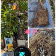 ヒメ日記 2025/05/01 21:09 投稿 瀬戸 竹内マッサージ