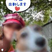 ヒメ日記 2025/05/08 19:29 投稿 瀬戸 竹内マッサージ