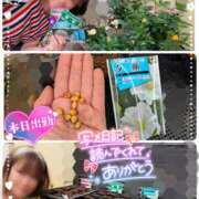 ヒメ日記 2025/05/09 12:06 投稿 瀬戸 竹内マッサージ