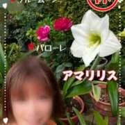 ヒメ日記 2025/05/14 12:53 投稿 瀬戸 竹内マッサージ