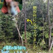 ヒメ日記 2025/05/14 13:09 投稿 瀬戸 竹内マッサージ