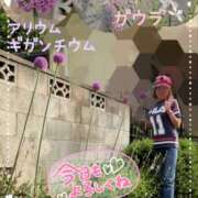 ヒメ日記 2025/05/21 10:27 投稿 瀬戸 竹内マッサージ