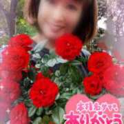 ヒメ日記 2025/05/22 16:57 投稿 瀬戸 竹内マッサージ