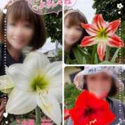 ヒメ日記 2025/05/23 14:41 投稿 瀬戸 竹内マッサージ