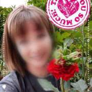 ヒメ日記 2025/05/25 09:39 投稿 瀬戸 竹内マッサージ