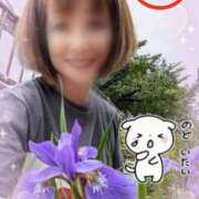 ヒメ日記 2025/05/25 11:29 投稿 瀬戸 竹内マッサージ