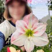 ヒメ日記 2025/05/28 11:22 投稿 瀬戸 竹内マッサージ