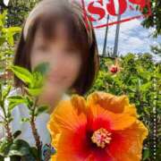 ヒメ日記 2025/06/01 22:14 投稿 瀬戸 竹内マッサージ