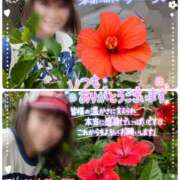 ヒメ日記 2025/06/05 05:34 投稿 瀬戸 竹内マッサージ