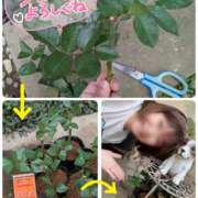 ヒメ日記 2025/06/08 11:14 投稿 瀬戸 竹内マッサージ