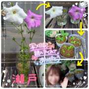 ヒメ日記 2025/06/10 07:08 投稿 瀬戸 竹内マッサージ