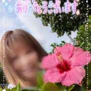 ヒメ日記 2025/06/10 07:35 投稿 瀬戸 竹内マッサージ