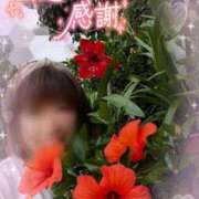 ヒメ日記 2025/06/12 09:26 投稿 瀬戸 竹内マッサージ