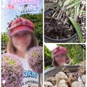 ヒメ日記 2025/06/12 19:05 投稿 瀬戸 竹内マッサージ