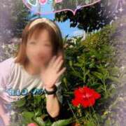 ヒメ日記 2025/06/18 08:52 投稿 瀬戸 竹内マッサージ