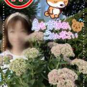 ヒメ日記 2025/06/18 14:37 投稿 瀬戸 竹内マッサージ