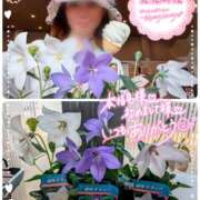 ヒメ日記 2025/06/28 07:04 投稿 瀬戸 竹内マッサージ