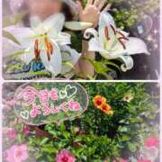 ヒメ日記 2025/06/29 11:48 投稿 瀬戸 竹内マッサージ